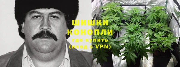 ПСИЛОЦИБИНОВЫЕ ГРИБЫ Усолье-Сибирское