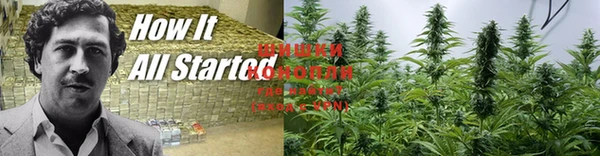ПСИЛОЦИБИНОВЫЕ ГРИБЫ Усолье-Сибирское