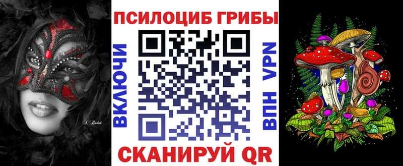 купить наркоту  Черемхово  Псилоцибиновые грибы Psilocybe 
