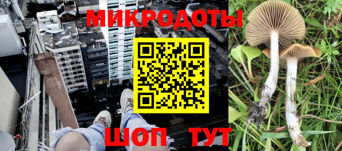 Псилоцибиновые грибы Cubensis  Вход с VPN  Черемхово 